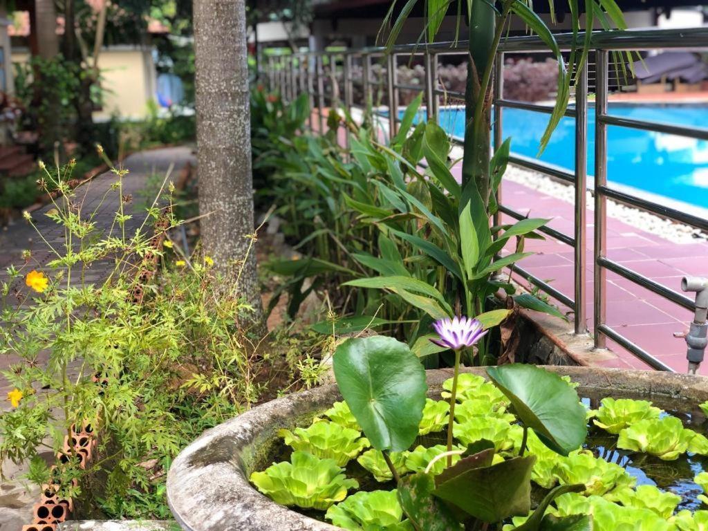 Castaways Resort Фу Куок Екстериор снимка